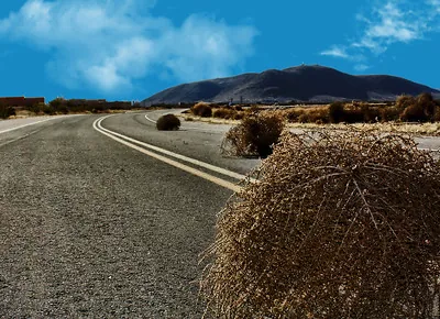 Tumbleweed